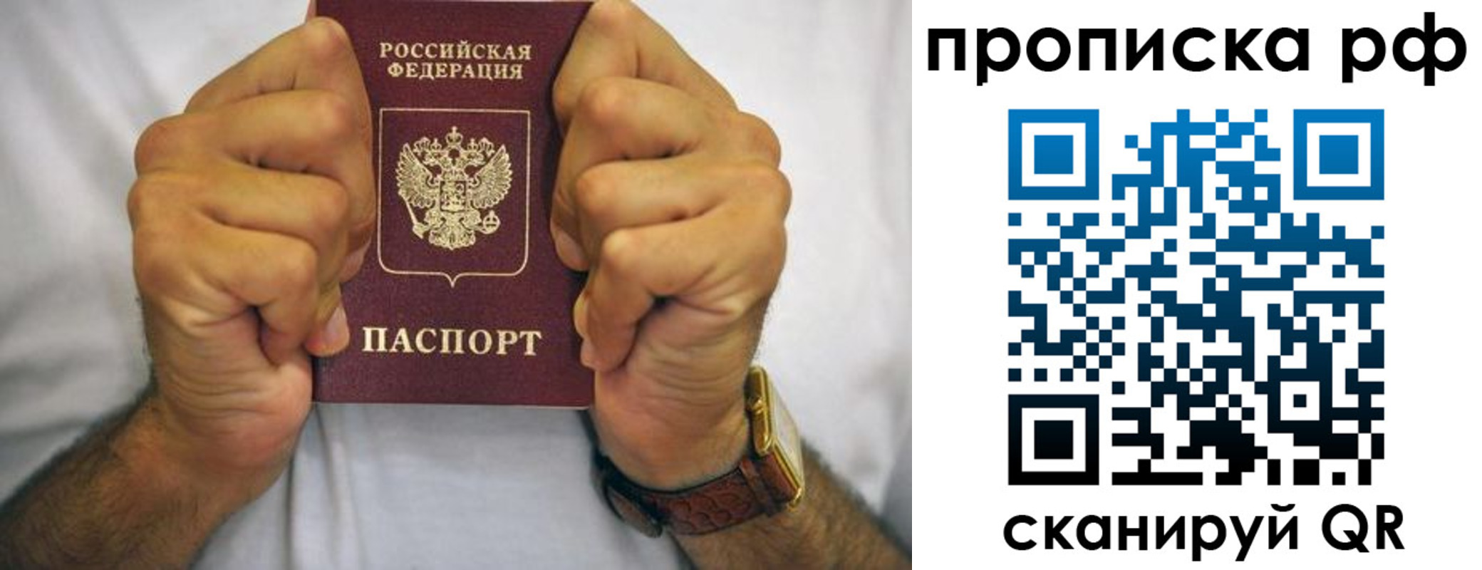 прописка регистрация в Смоленске